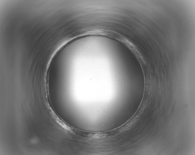 X0000054360808200508051527