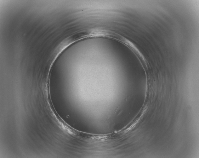 X0000054360810200508051527