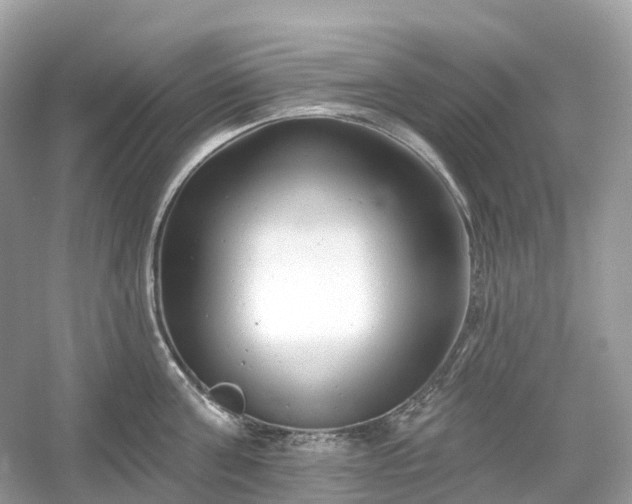 X0000054360811200508051527