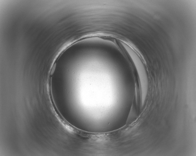 X0000054360813200508051527