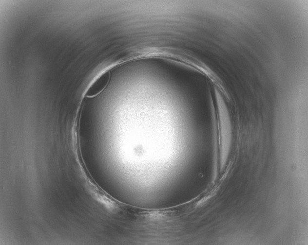X0000054360814200508051527