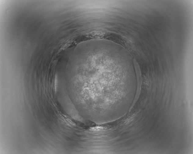 X0000054360818200508051526