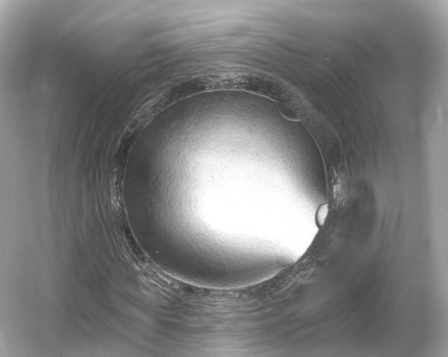 X0000054360819200508051526