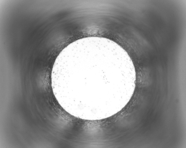 X0000054360820200508051526