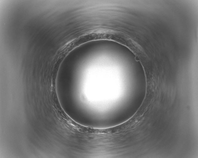 X0000054360821200508051527