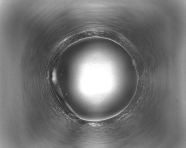 X0000054360822200508051527