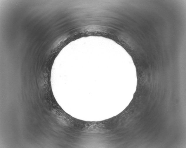 X0000054360824200508051527