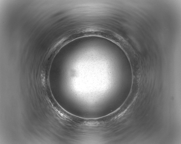 X0000054360825200508051527