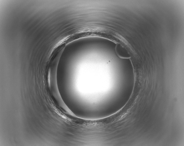 X0000054360826200508051527