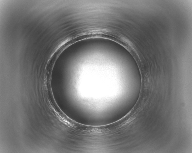 X0000054360827200508051527