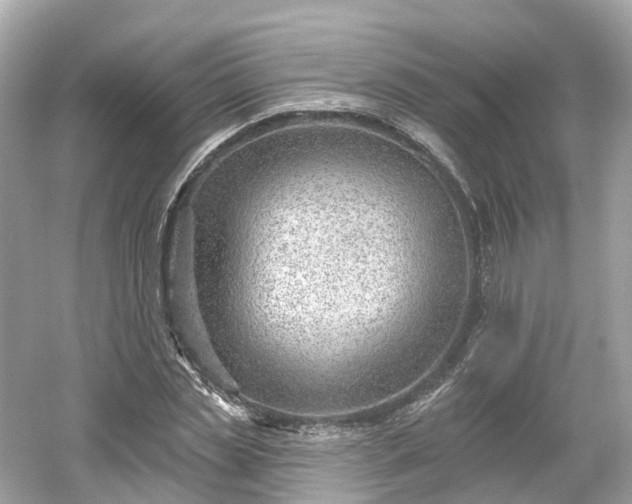 X0000054360829200508051527