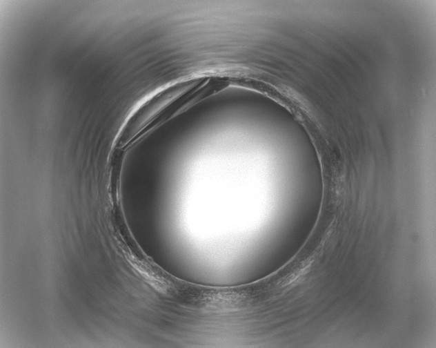 X0000054360830200508051527
