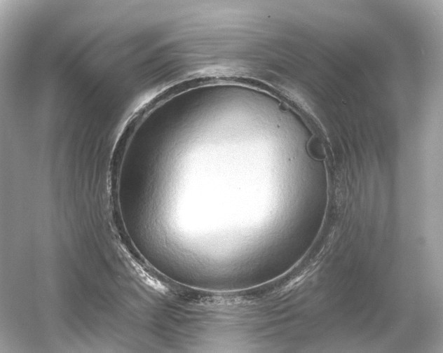 X0000054360831200508051527