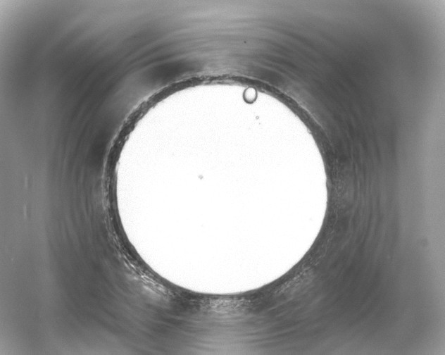 X0000054360832200508051527