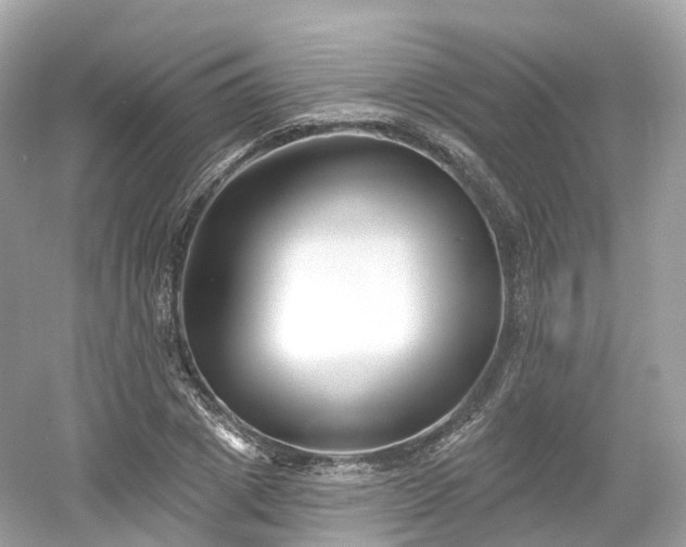 X0000054360833200508051527