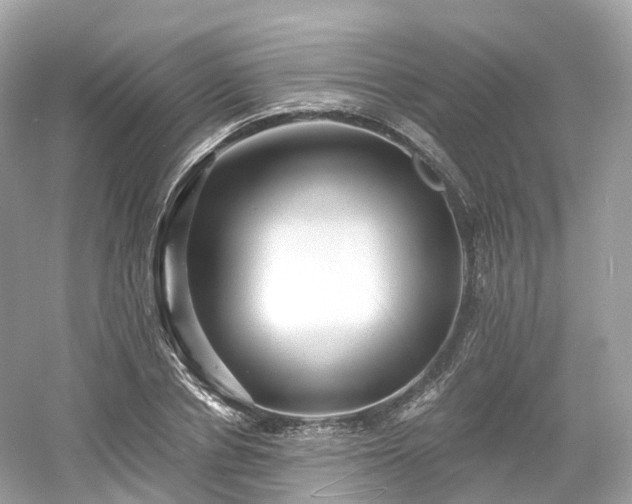 X0000054360834200508051527