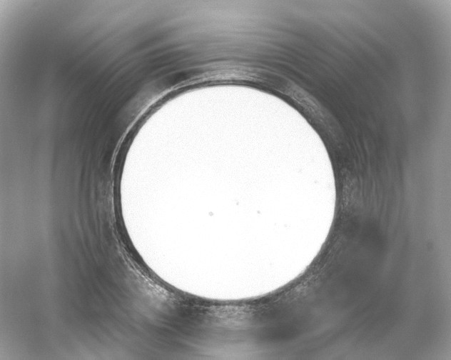 X0000054360836200508051527