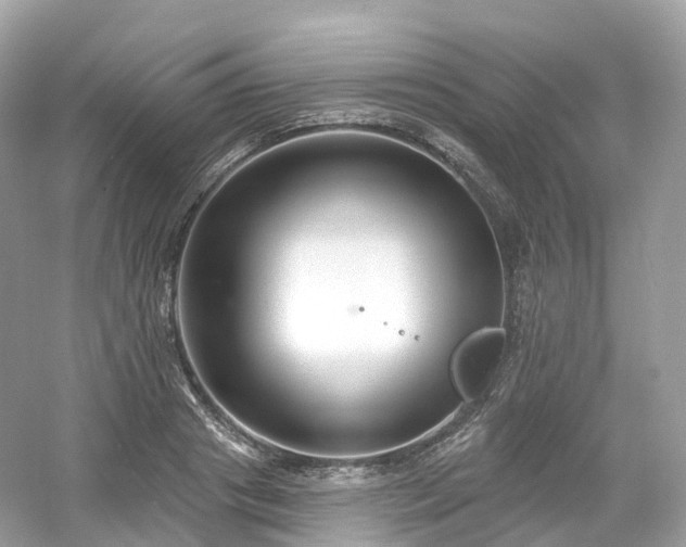X0000054360841200508051527