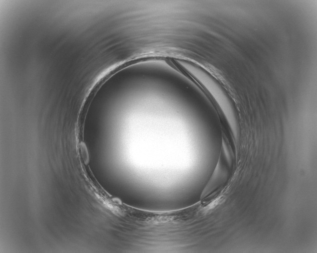 X0000054360846200508051527