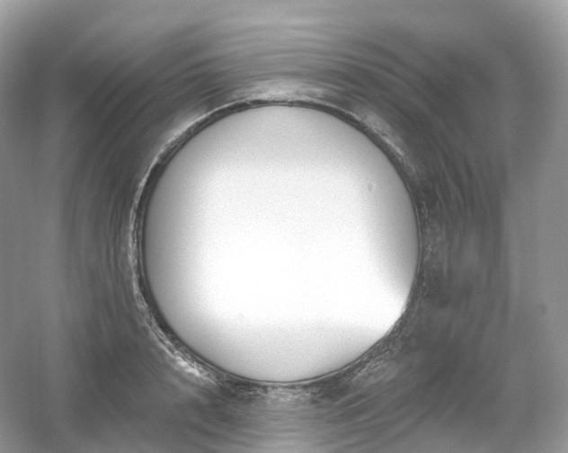 X0000054360848200508051527