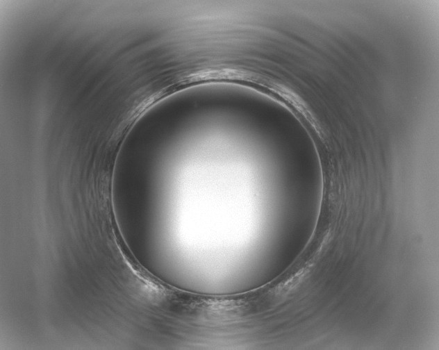 X0000054360849200508051527