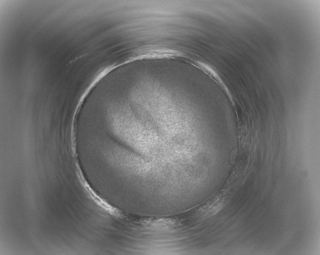 X0000054360851200508051527
