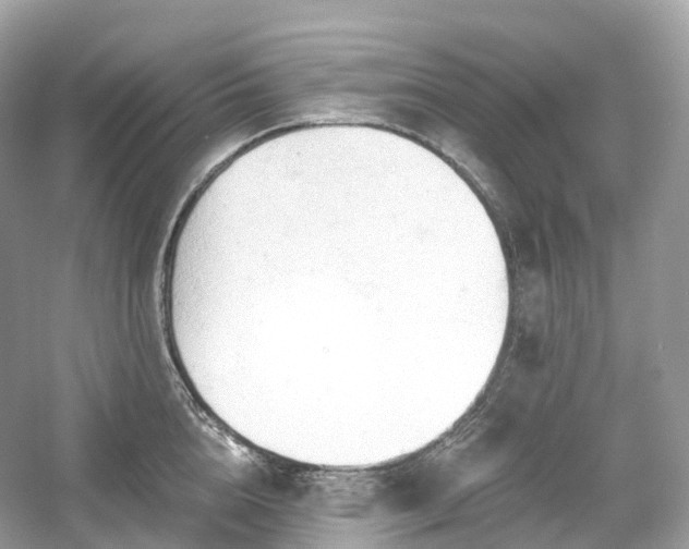 X0000054360856200508051527