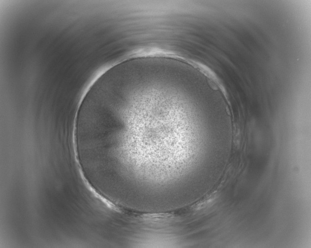 X0000054360863200508051527