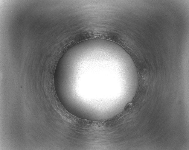 X0000054360865200508051526