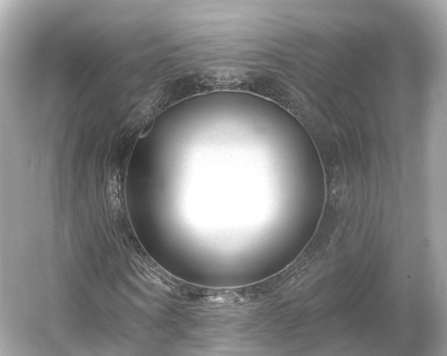 X0000054360866200508051526