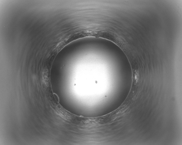 X0000054360867200508051526