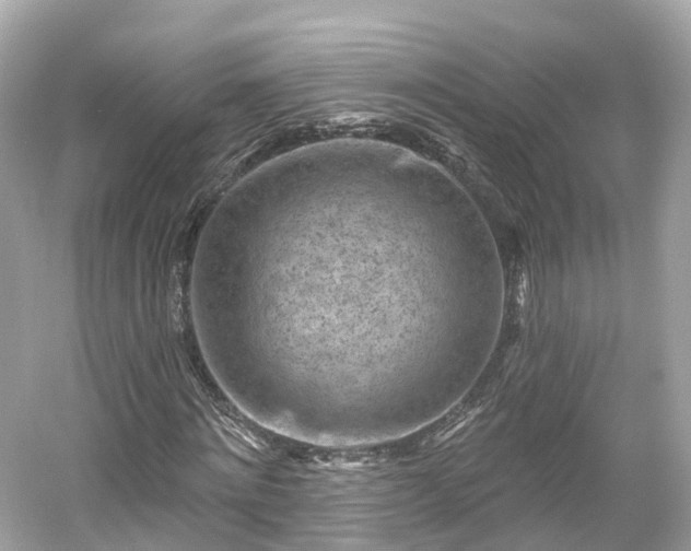 X0000054360868200508051526