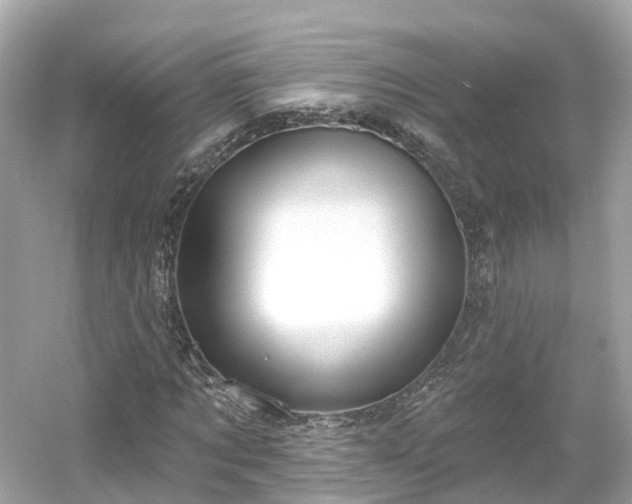 X0000054360869200508051526