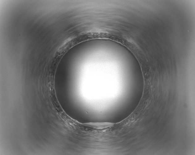 X0000054360870200508051526