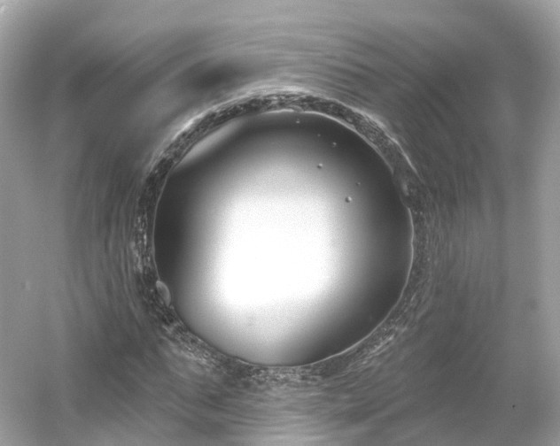 X0000054360871200508051526