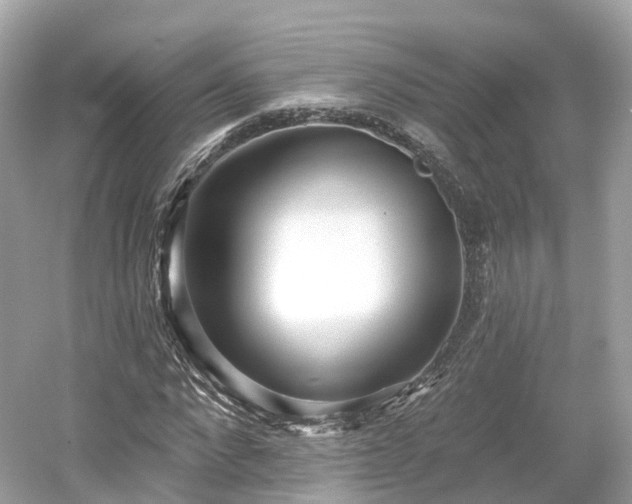 X0000054360872200508051526