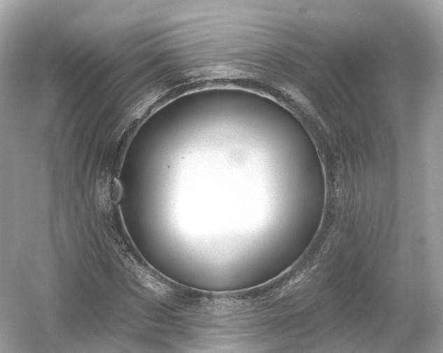 X0000054360873200508051526
