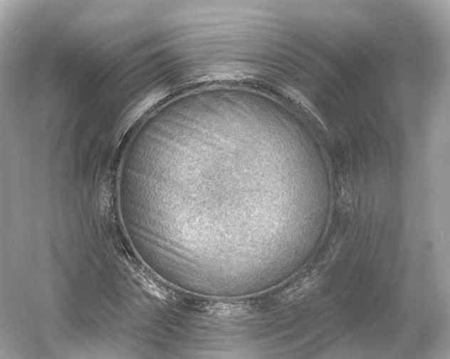 X0000054360874200508051526