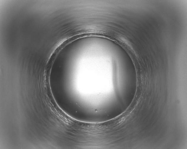 X0000054360875200508051526