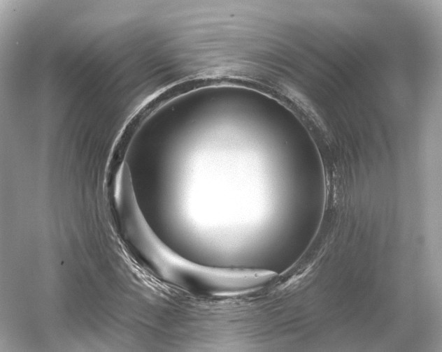 X0000054360876200508051526