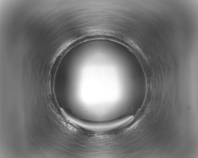 X0000054360877200508051526
