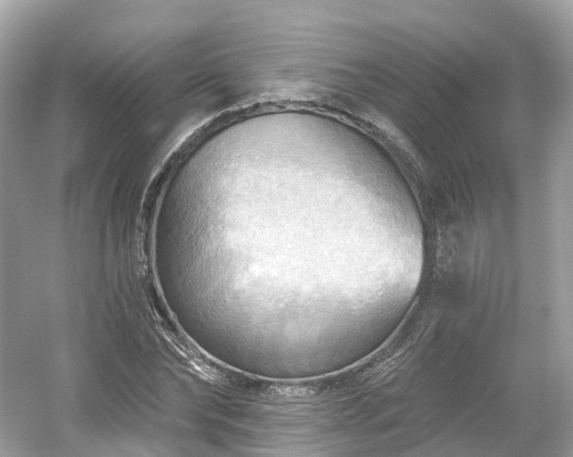 X0000054360878200508051526