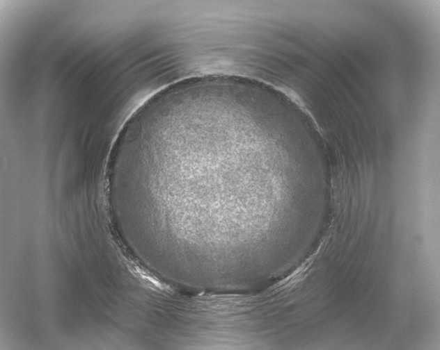 X0000054360879200508051526