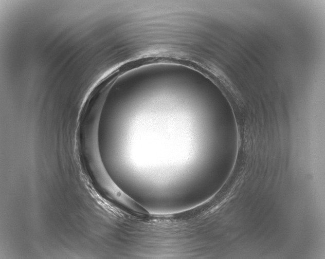 X0000054360880200508051526
