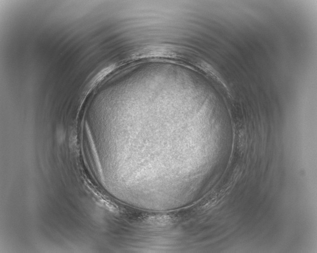 X0000054360882200508051526