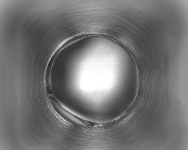 X0000054360884200508051526