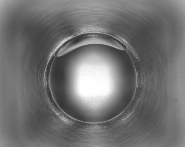 X0000054360885200508051526
