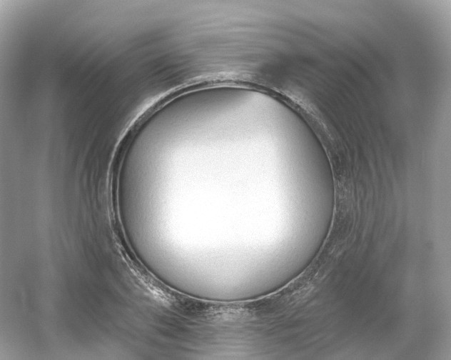 X0000054360886200508051526