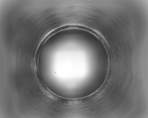 X0000054360887200508051526