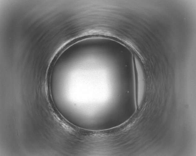 X0000054360888200508051526